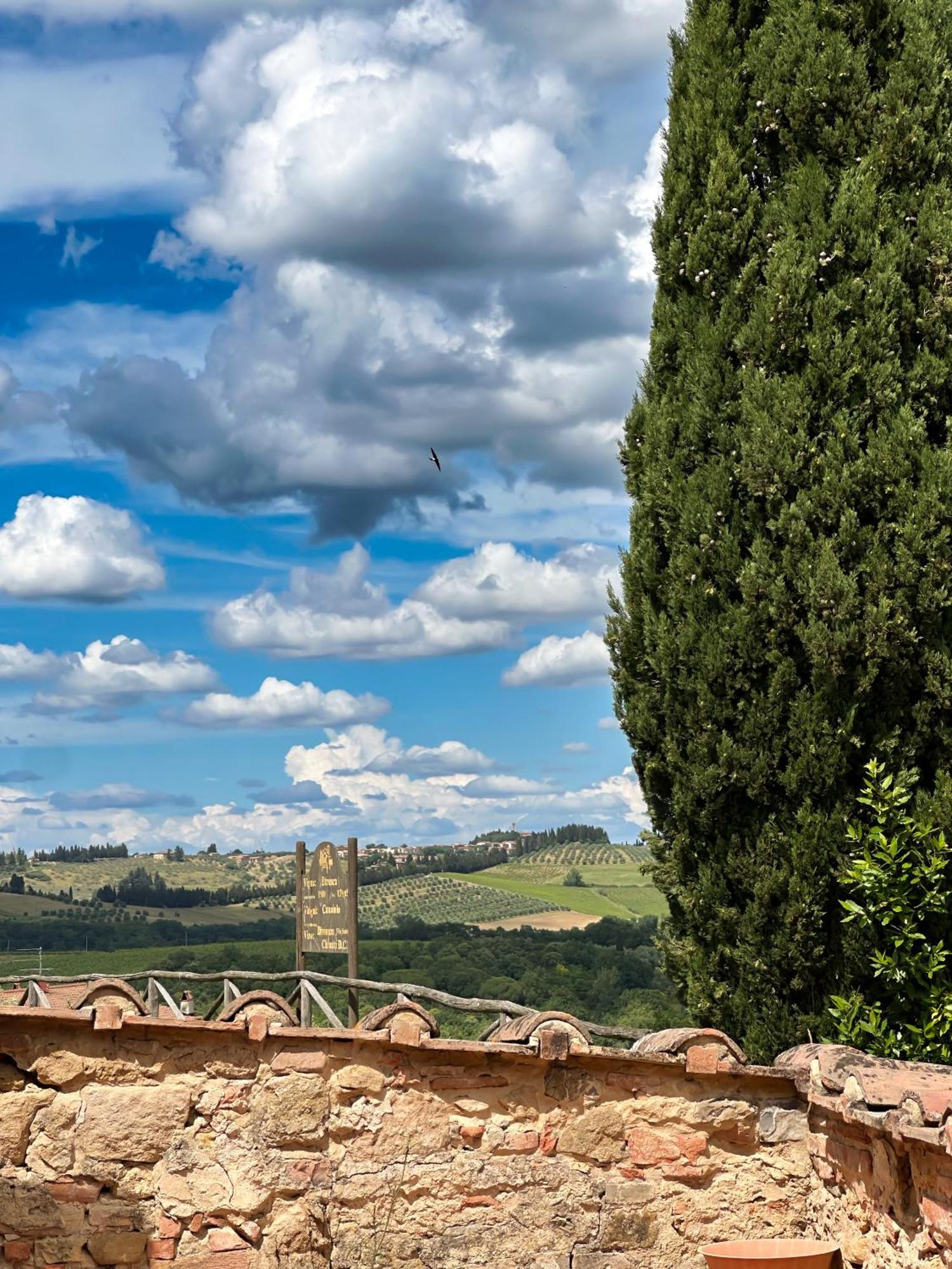Agriturismo Fattoria Sant'Appiano Barberino di Val dʼElsa Dış mekan fotoğraf
