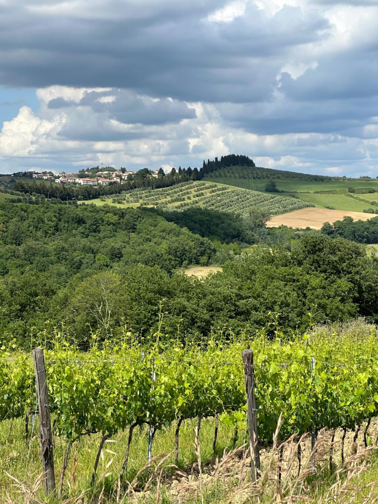Agriturismo Fattoria Sant'Appiano Barberino di Val dʼElsa Dış mekan fotoğraf